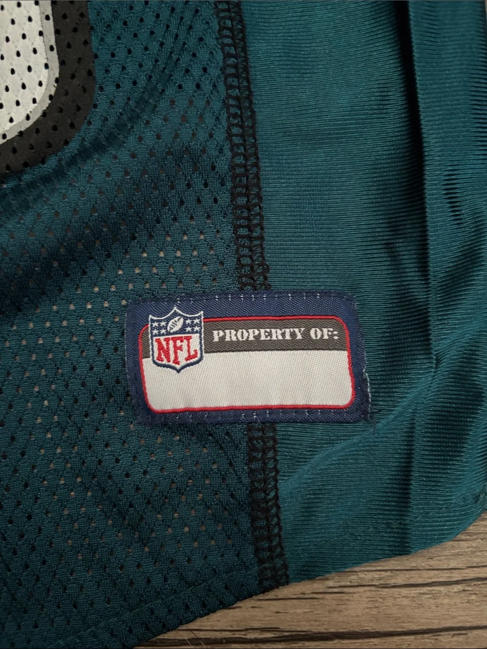 NFL Philadelphia Eagles Teal & White Dog Jersey